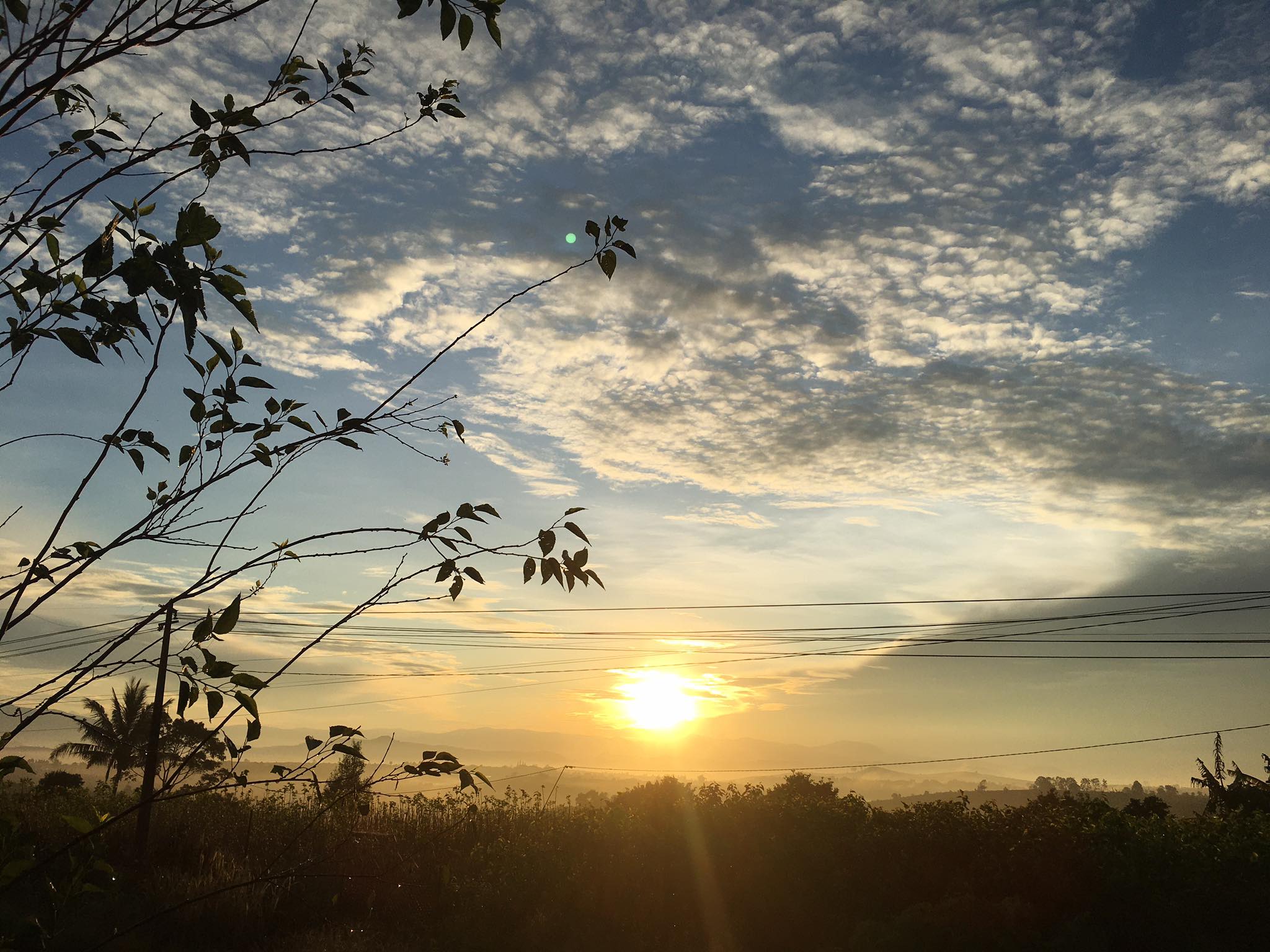 Nhật ký của tui